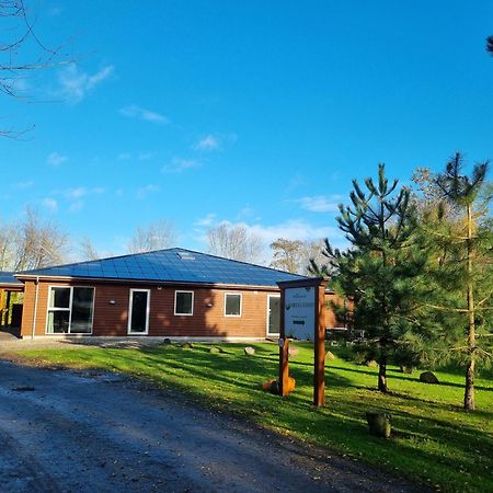 Feriebyens Bed & Breakfast Rødvig Dış mekan fotoğraf